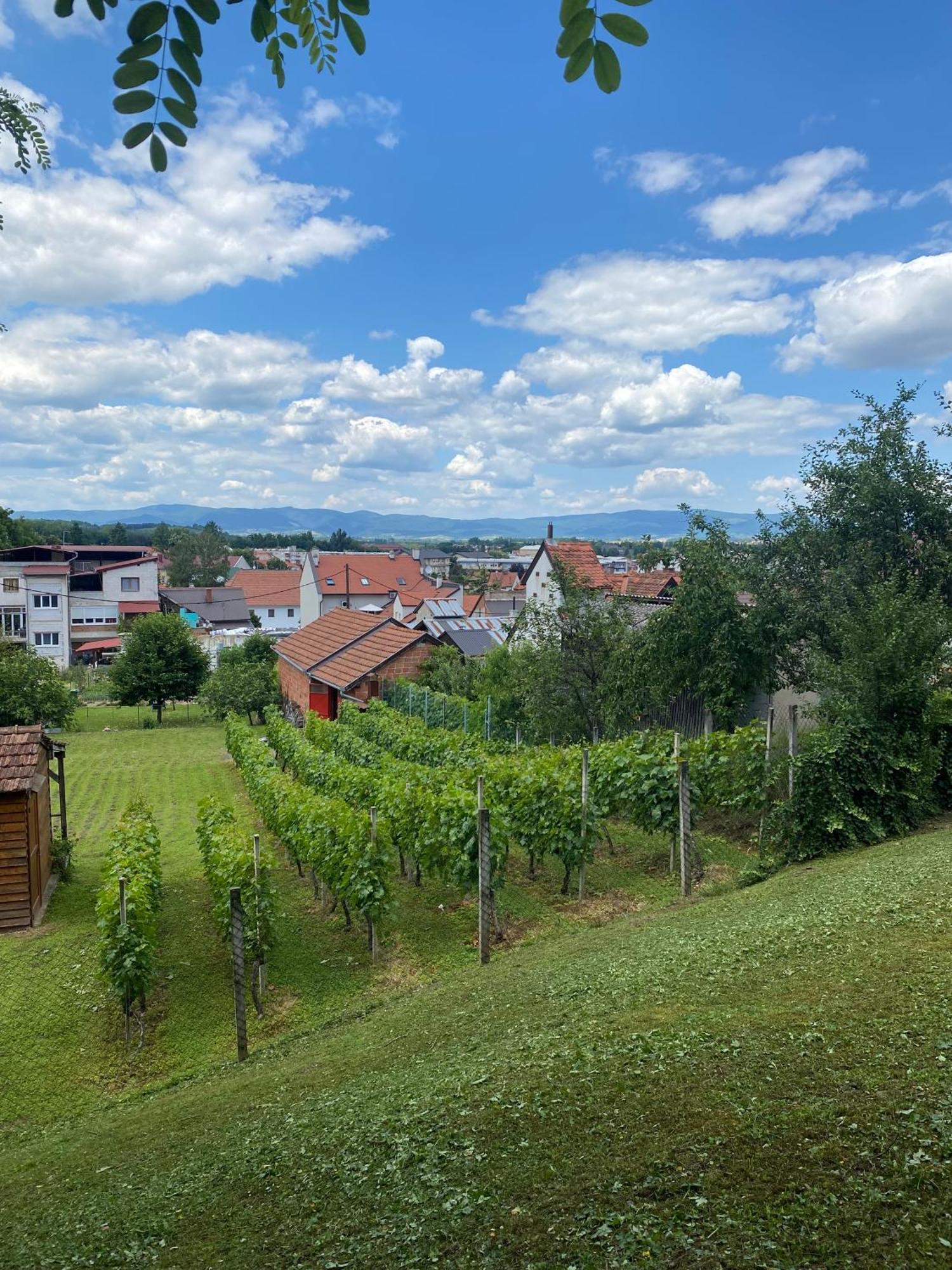 Guest House Grgin Dol Pozega Buitenkant foto