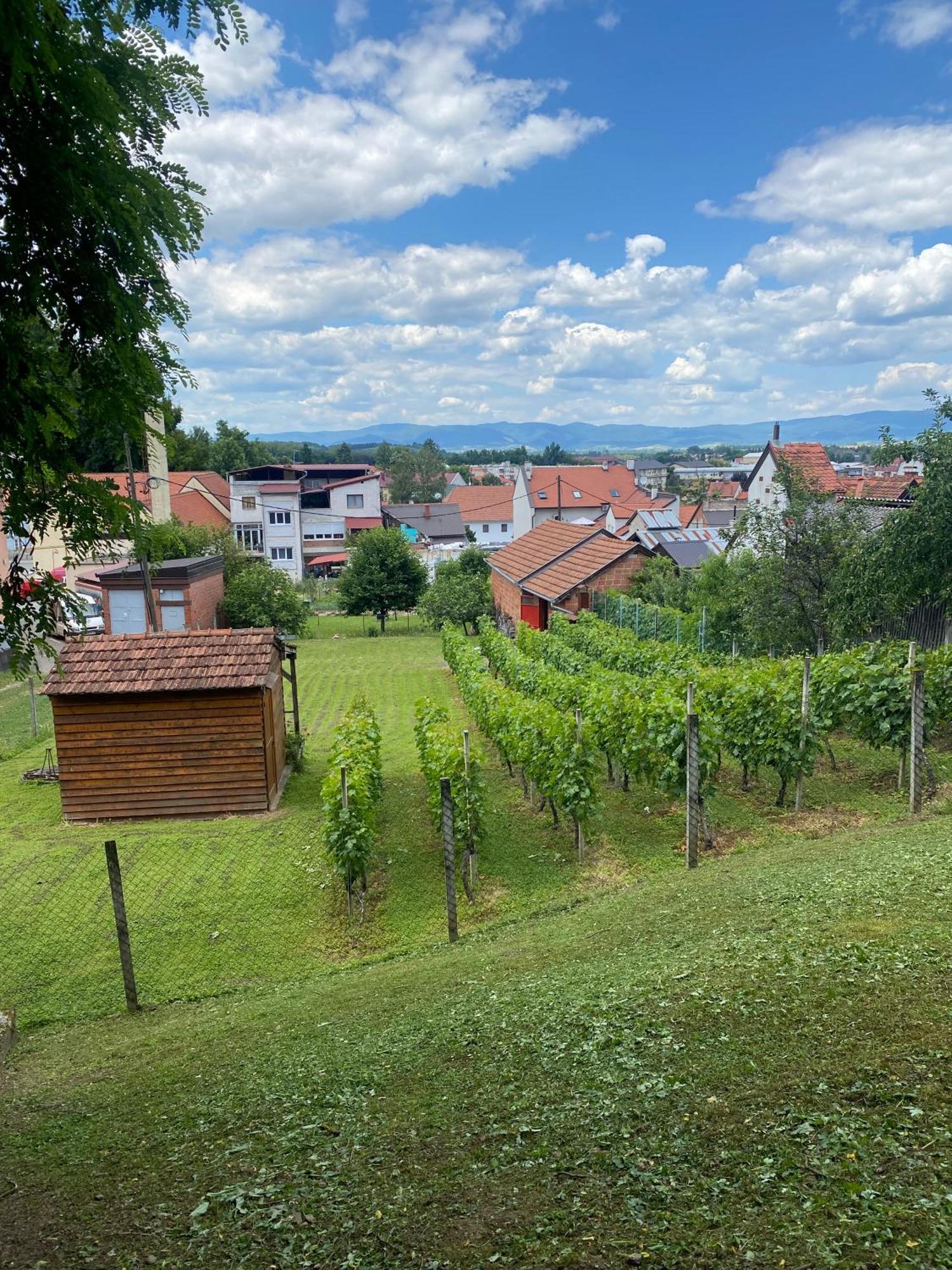 Guest House Grgin Dol Pozega Buitenkant foto